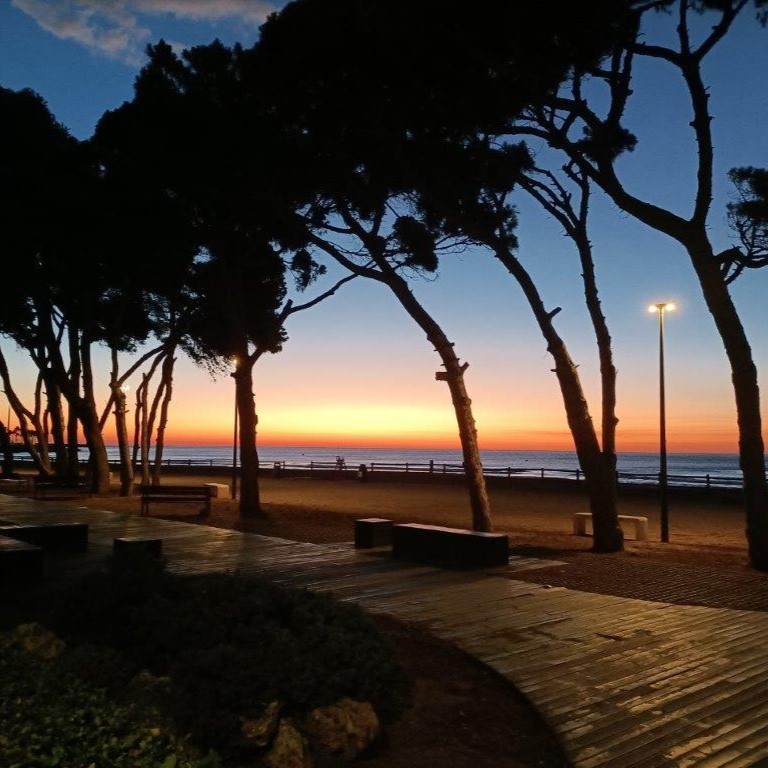 Ontdek je plekje in Castellon